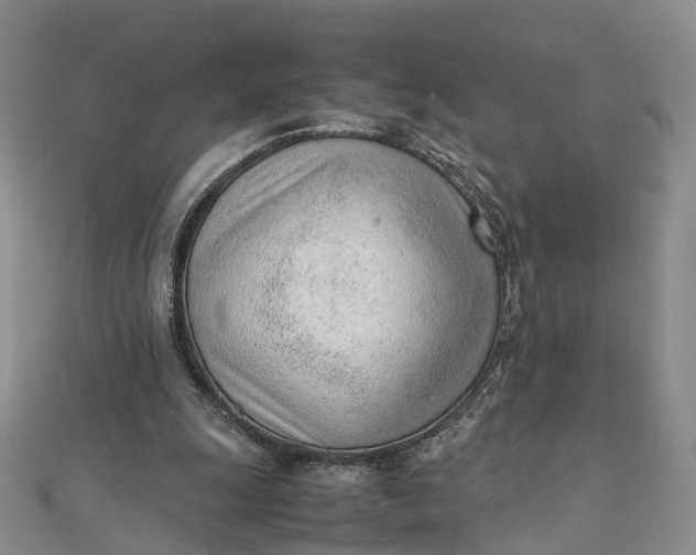 X0000111920247200908101227