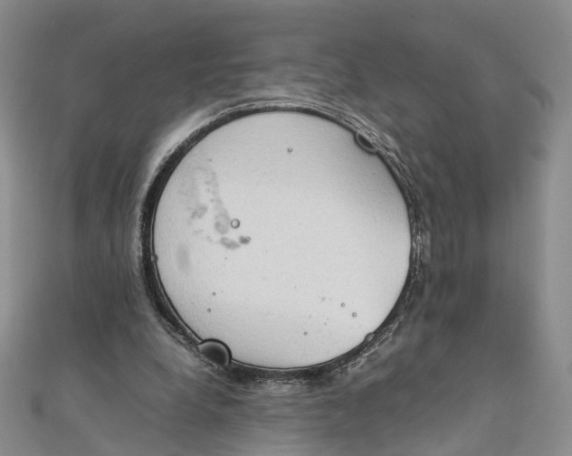 X0000111920248200908101227