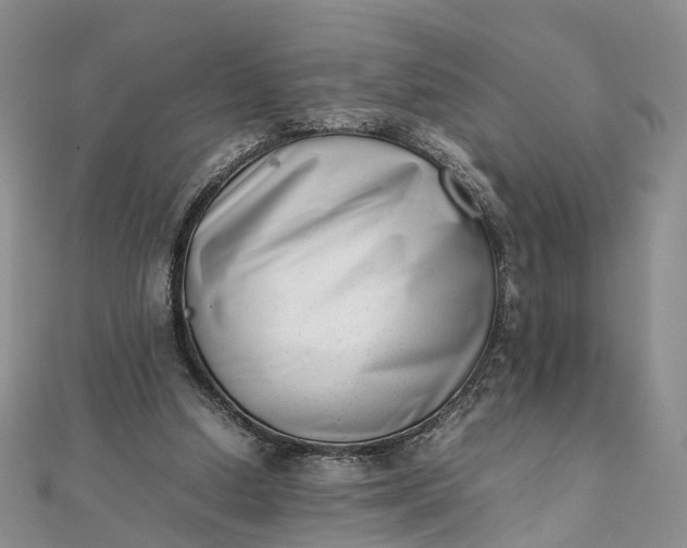 X0000111920250200908101227