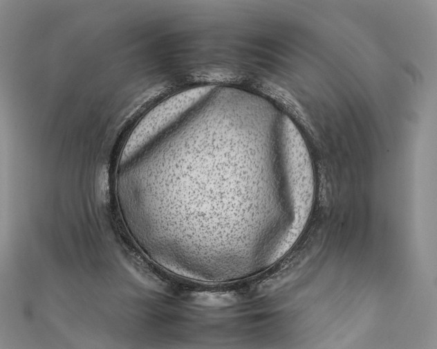 X0000111920251200908101227