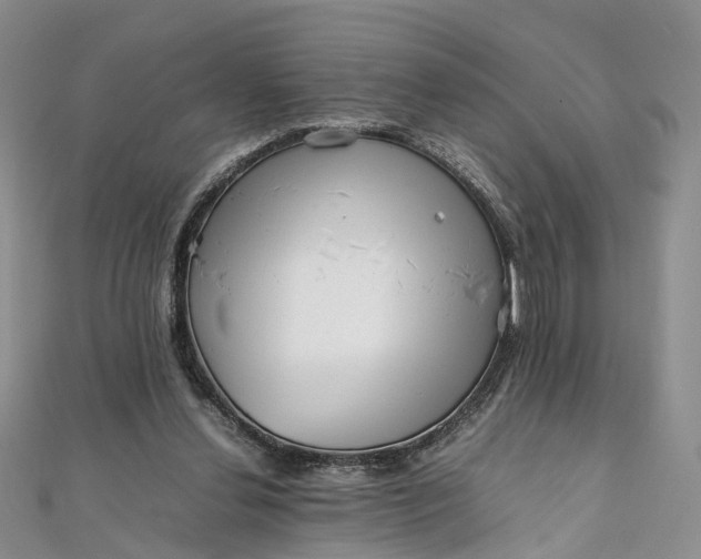 X0000111920252200908101227