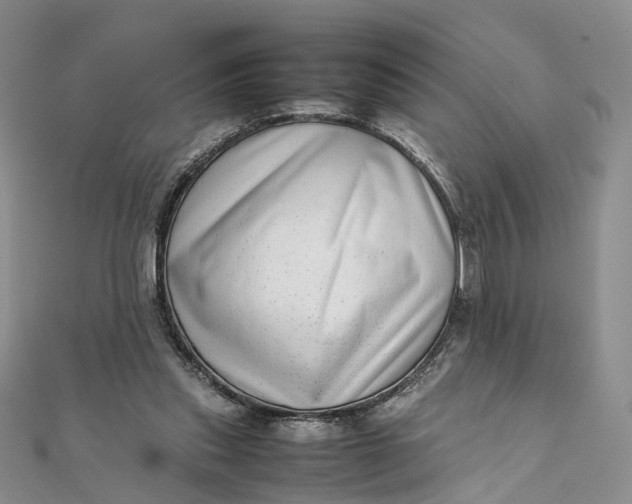 X0000111920253200908101227