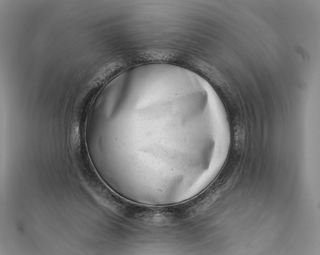 X0000111920254200908101227