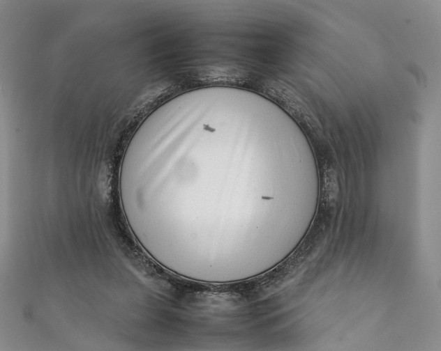 X0000111920255200908101227