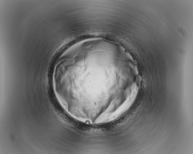 X0000111920256200908101227