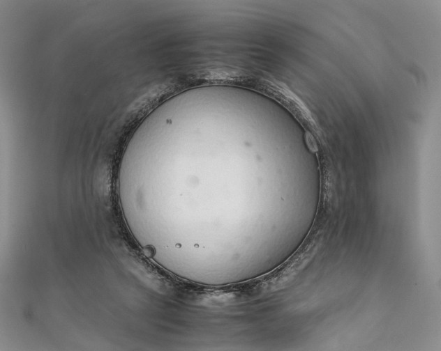 X0000111920257200908101227