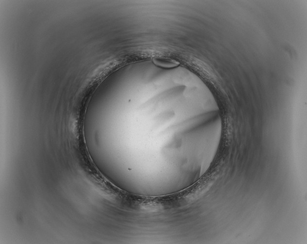 X0000111920258200908101227