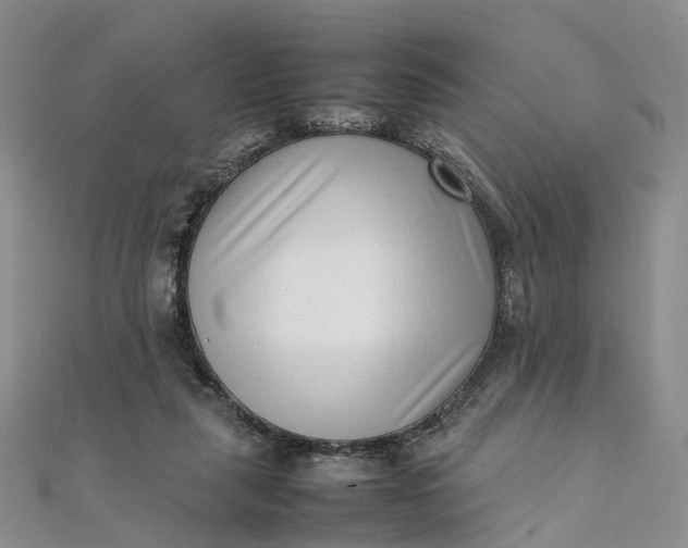 X0000111920259200908101227