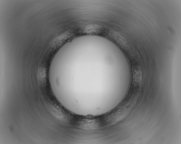 X0000111920260200908101227