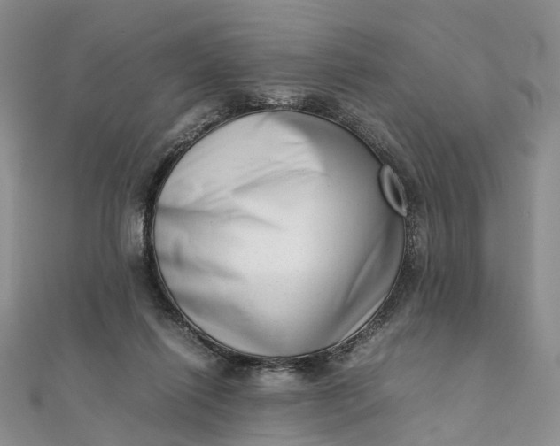 X0000111920262200908101227