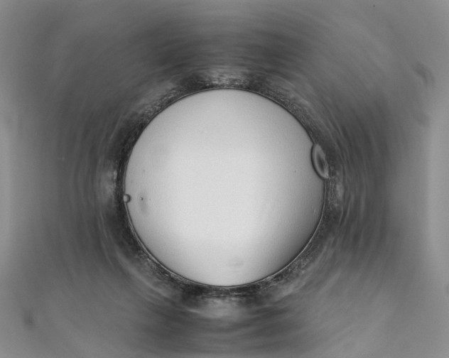 X0000111920263200908101227