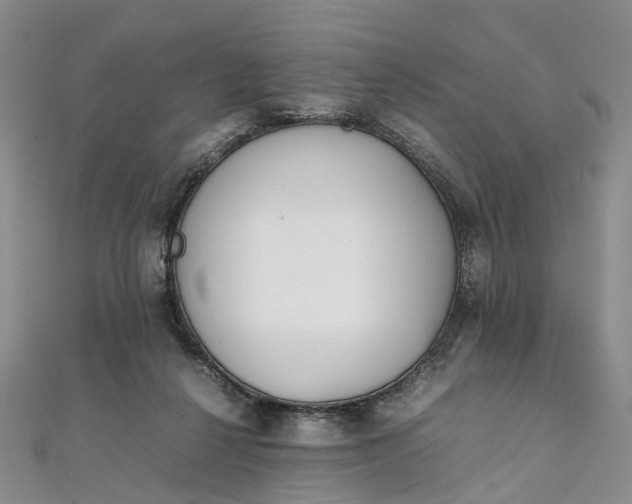 X0000111920264200908101227