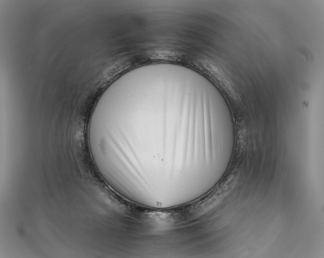 X0000111920265200908101227