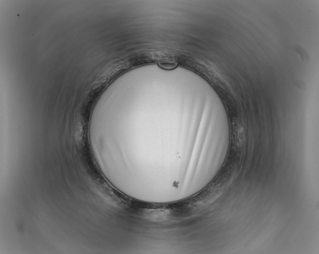 X0000111920266200908101227