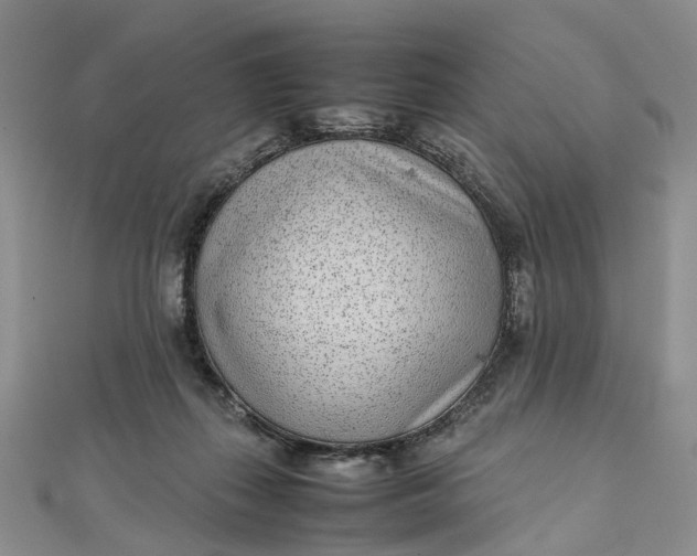 X0000111920267200908101227