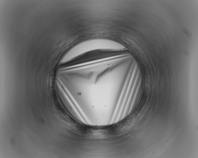 X0000111920268200908101227