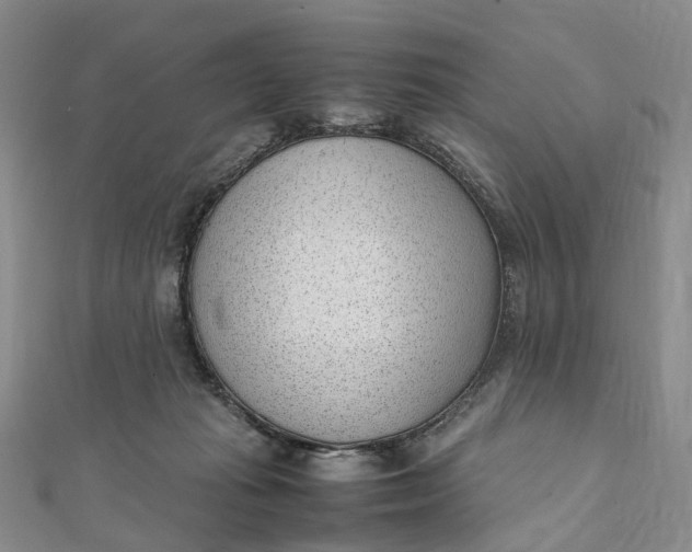 X0000111920269200908101227