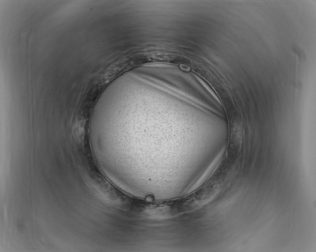 X0000111920271200908101227