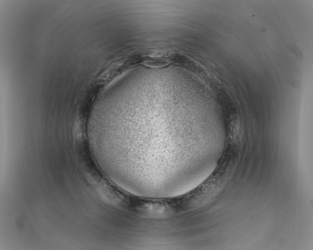 X0000111920272200908101227