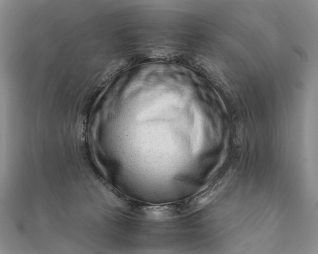 X0000111920273200908101227