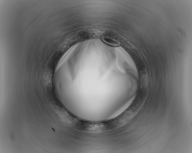 X0000111920274200908101227