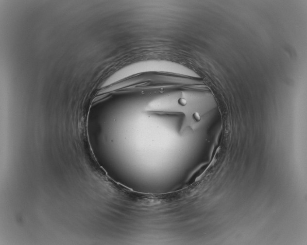 X0000111920276200908101227