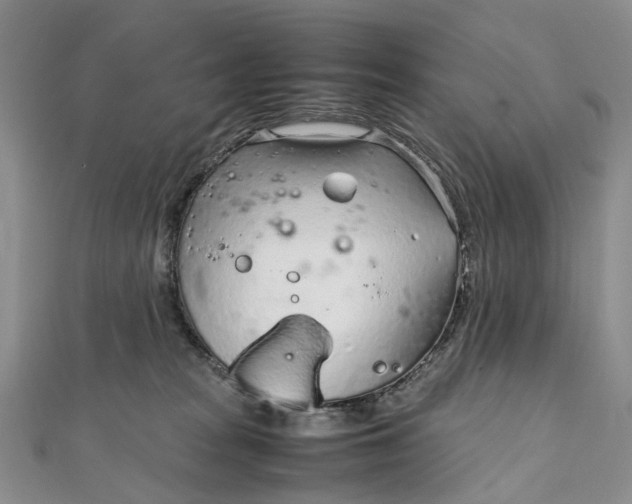 X0000111920277200908101227