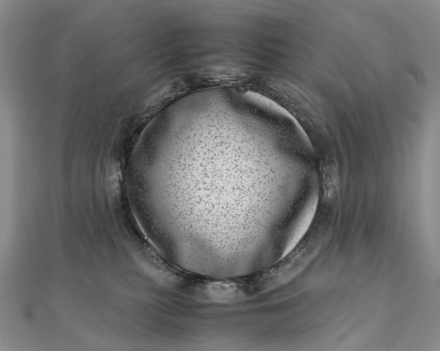 X0000111920279200908101227