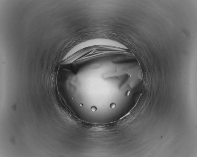 X0000111920280200908101227