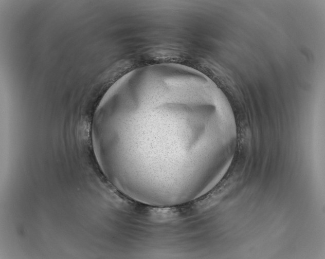 X0000111920281200908101227