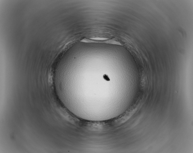 X0000111920282200908101227