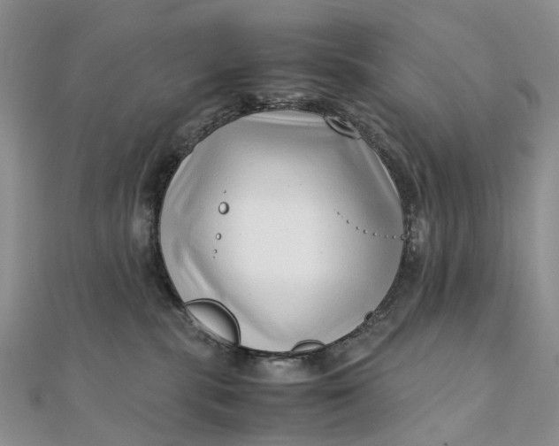 X0000111920283200908101227