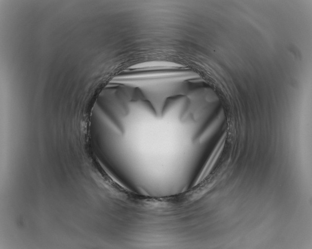 X0000111920284200908101228