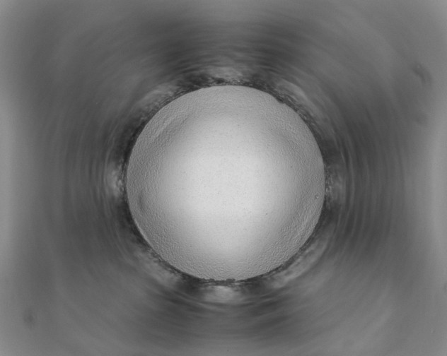 X0000111920285200908101228