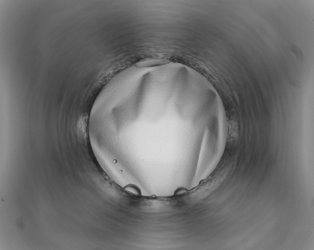 X0000111920286200908101228