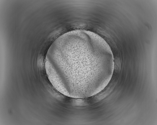 X0000111920287200908101228