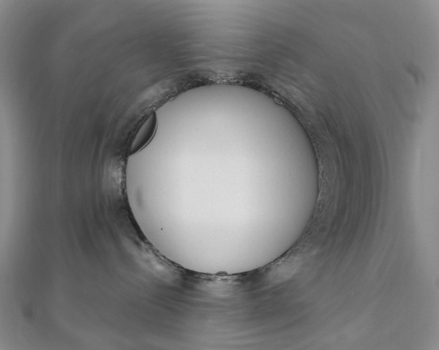 X0000111920288200908101228