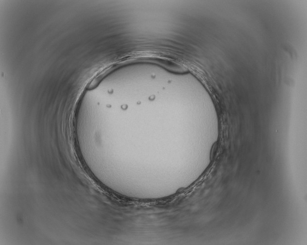 X0000111920289200908101227