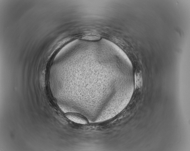 X0000111920291200908101227