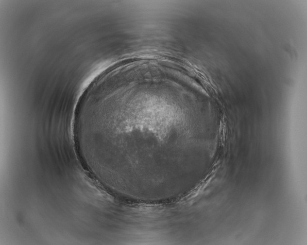 X0000111920292200908101227