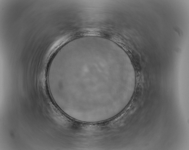 X0000111920293200908101227