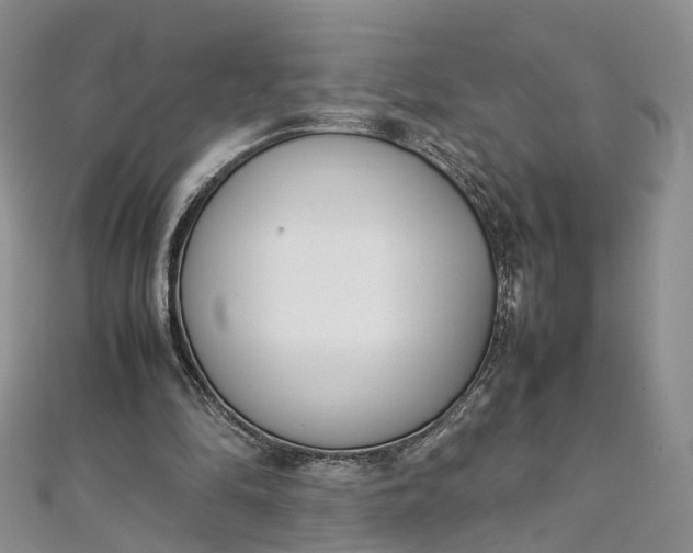 X0000111920294200908101227