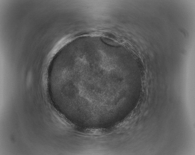 X0000111920295200908101227