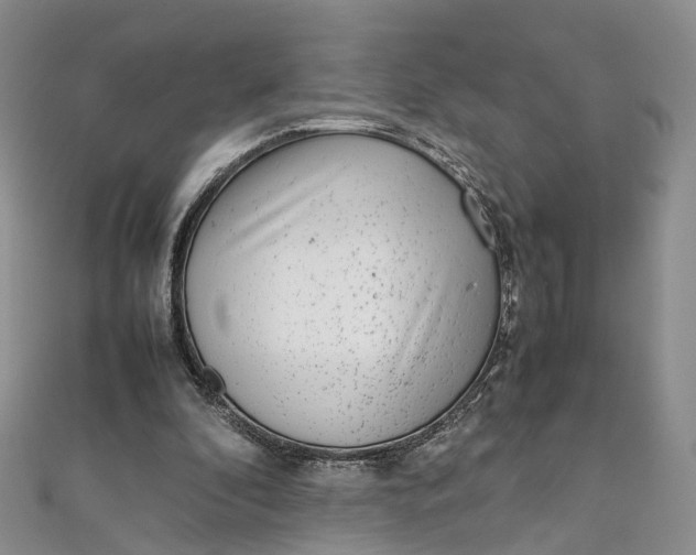 X0000111920296200908101227