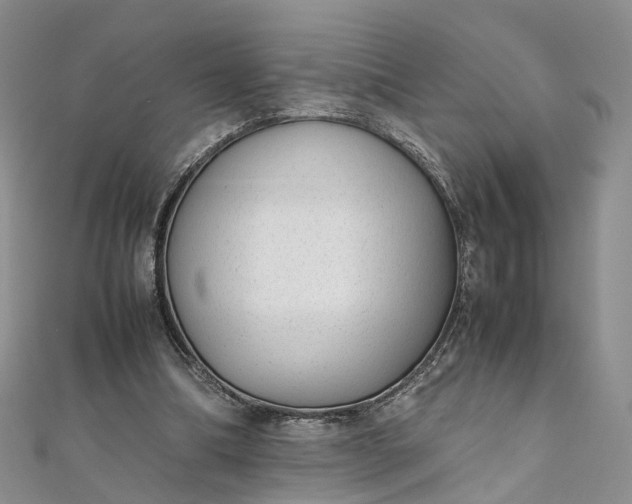 X0000111920298200908101227