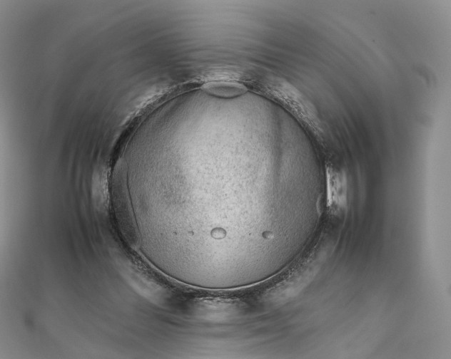 X0000111920300200908101227