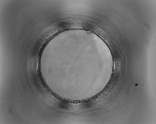 X0000111920301200908101227