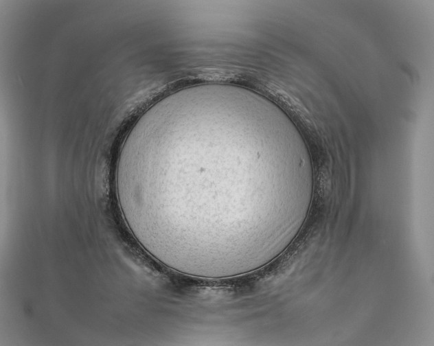 X0000111920303200908101227