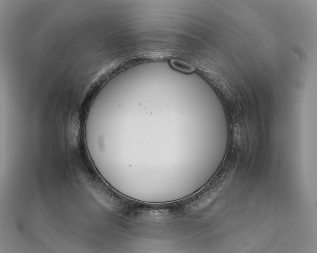 X0000111920304200908101227