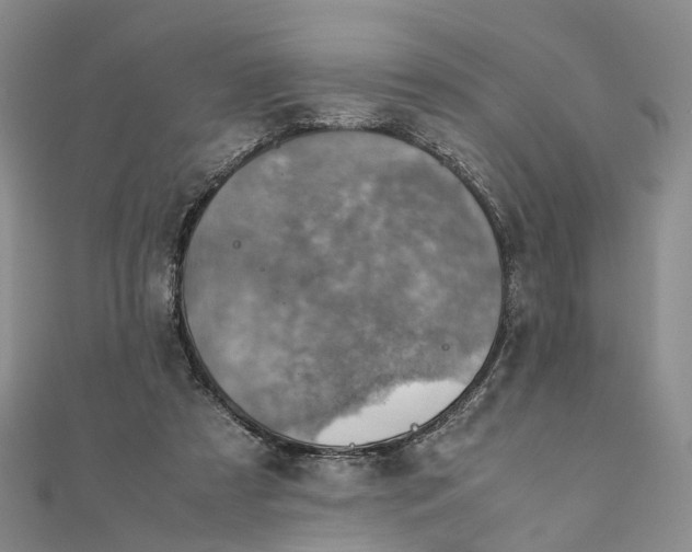 X0000111920305200908101227